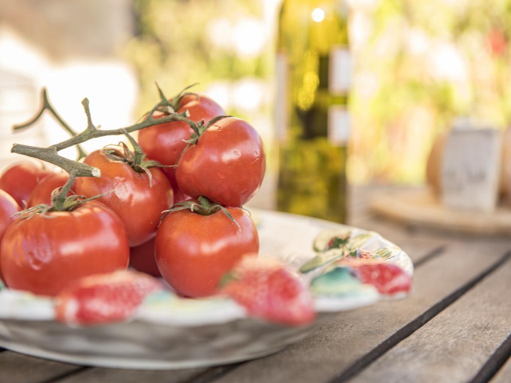 Appartamento La Roccaia San Gimignano Esterno foto